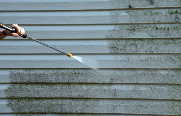 Best Affordable Pressure Washing  in Angola, IN