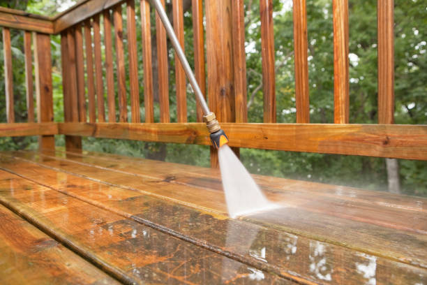 Best Affordable Pressure Washing  in Angola, IN
